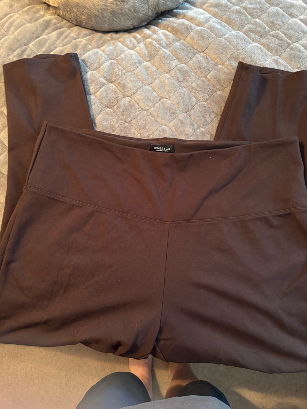 Jones New York Women's Straight Leg Pants in Dark Brown